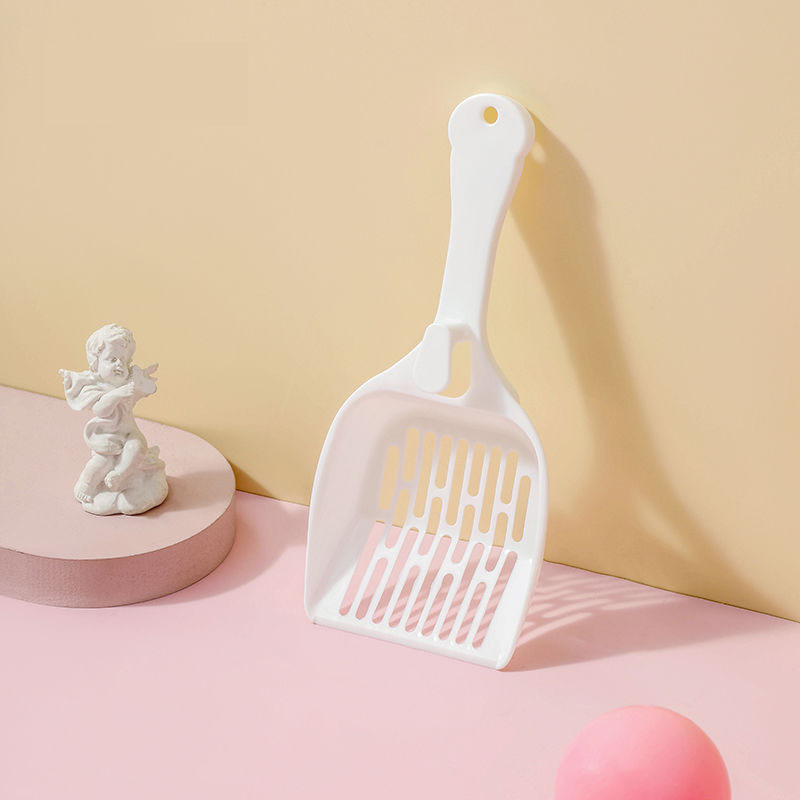 개별 고양이 삽