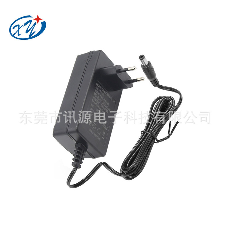 Factory 12V4Amp Drive Power Supply 24V2A/2.5A Display Massager Beauty Instrument Power Adapter