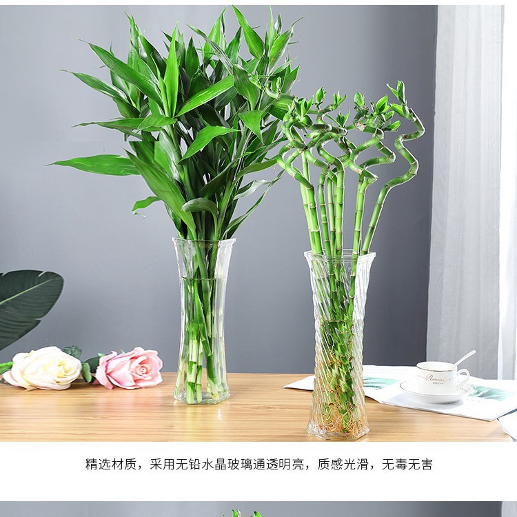 Florero de cristal 30 hexagonal transparente grande hidropónico rico lirio bambú florero escritorio Sala estar casera