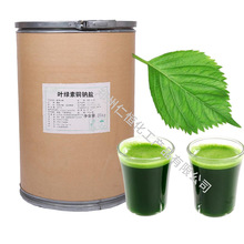 �~�G���~�c�} ʳƷ���~�G���~�c�} �gӭ�xُ