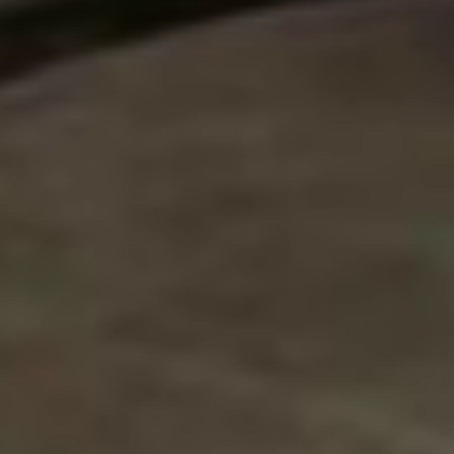 2025-07-17 10:03:18.jpg