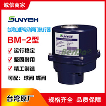 ̨��ɽҰSUN YEH�y�T늄ӈ�����BM-2늄��R�_�ӿ������y���y