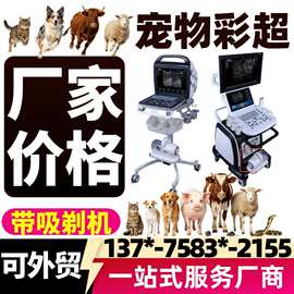 繁育仪器兽用彩超机 犬猫宠物繁殖科研用诊疗动物设备厂家