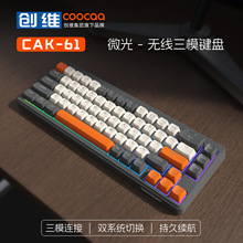 ���S���_CAS-61�Cе�ָПo����ģ�I�P��˹Pӛ��̨ʽ��X�羳���l