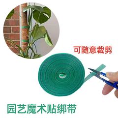 綠植捆綁紮帶綠色魔術貼粘扣帶植物捆綁不傷植物支撐固定熱植綁帶