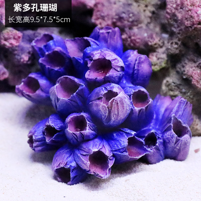 珊瑚1795C