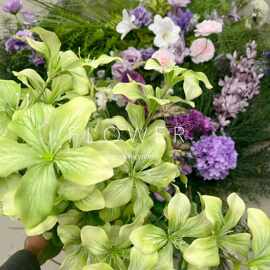 绿色花朵森系路引绿色绣球花绿植仿真浅绿色叶子玫瑰绢花婚婚礼花