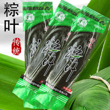 【保鲜粽叶】粽叶批发批货新鲜粽子叶箬竹叶端午节包粽子的叶子