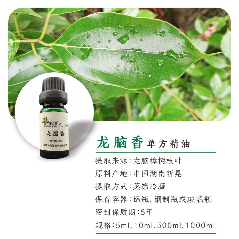 龙脑精油单方精油植物香熏按摩新晃龙脑右旋龙脑-阿里巴巴