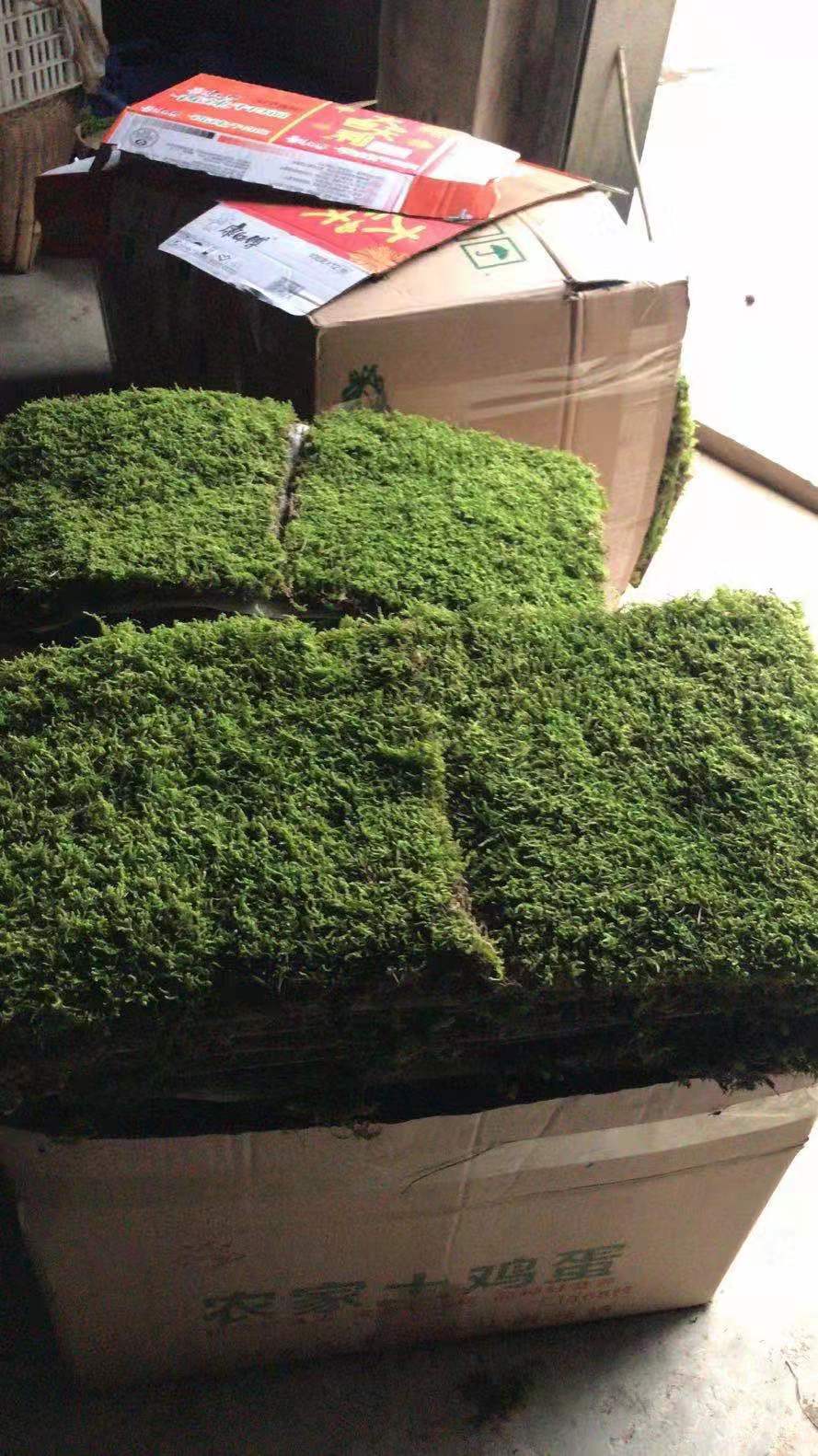 5e2ed31a8b51c01bb82212057d0e35