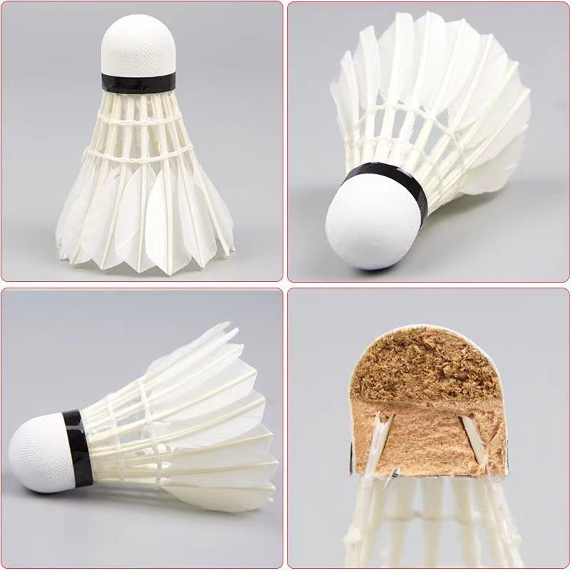 da520360-d577-4150-973f-5a208a0c078f.jpe