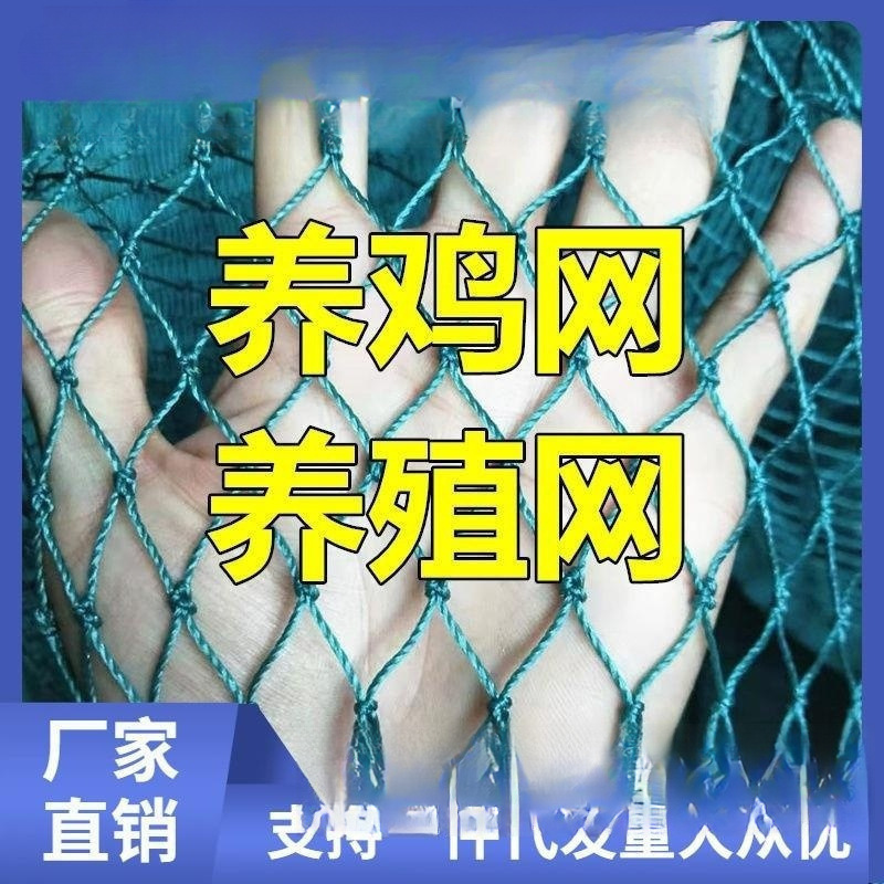 养殖养鸡网围栏拦鸡网家禽塑料网护栏网防护网菜园围网商用