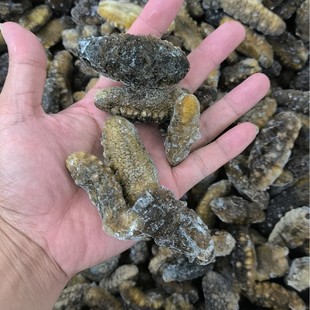 高蛋白即食海参｜端午618健康礼盒推荐
