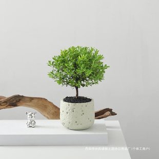 С�~��������҃�����͏d���B���ܾGֲ�����՚��ļ�����ֲ���辰