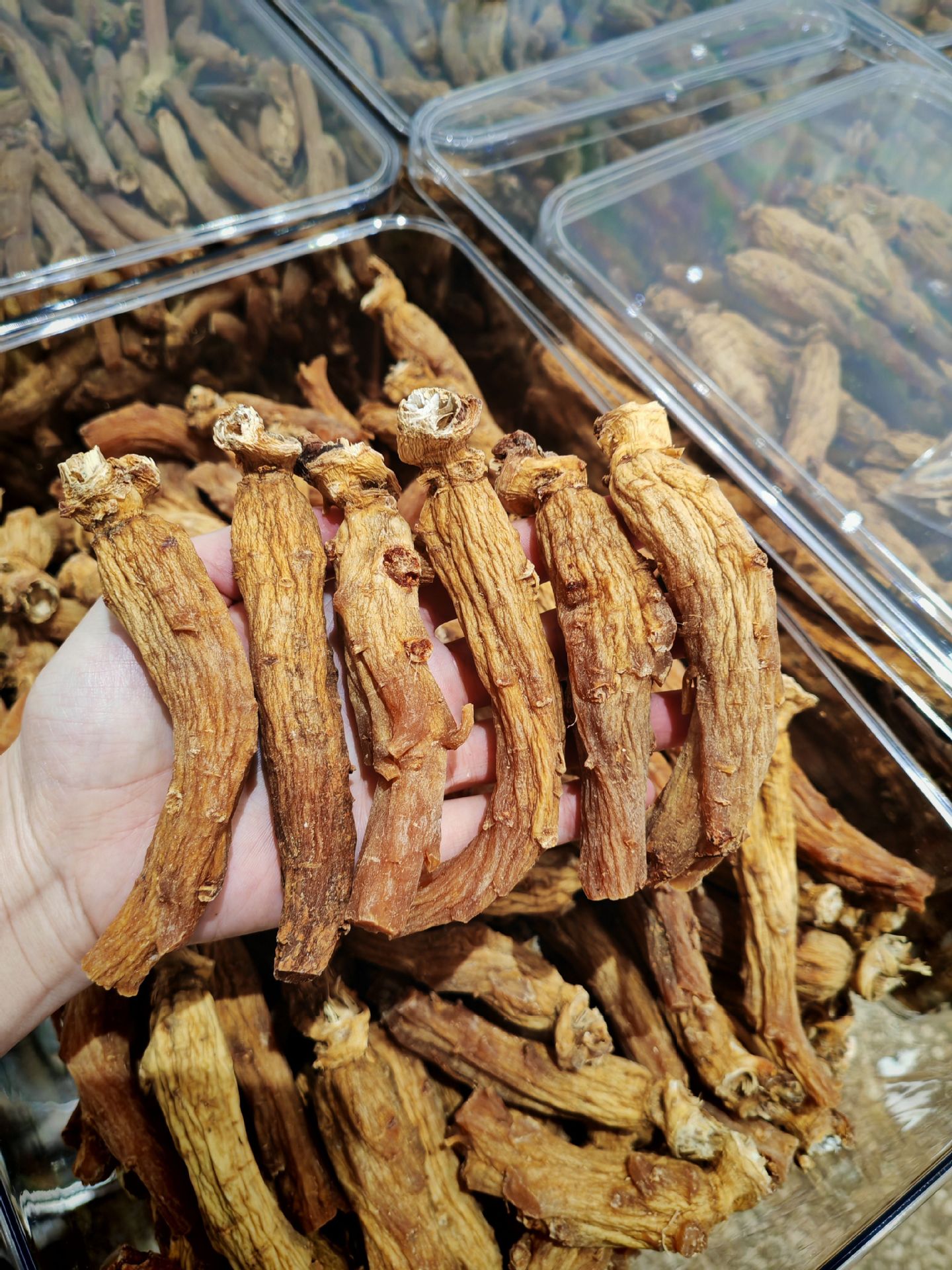 Korean Red Ginseng Goryeo Ginseng Whole Roots 250g Sugar-Free Non-Steamed Dried Panax Ginseng for Slicing Grinding and Daily Herbal Use in use