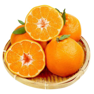 ����S���Ĵ���Ҋ�ҰҸ�9���̽��������θ����˸�ֱ�lһ�����l