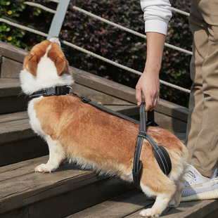 New Dog Hind Leg Disability Assistance Belt, Upgraded Pet Walking Assistance Belt, Dog Disability Walking Belt