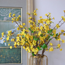 ��@����ʽ���滨�����ӻ�÷��֦�Ӽ��b��쾰��c������ˇ