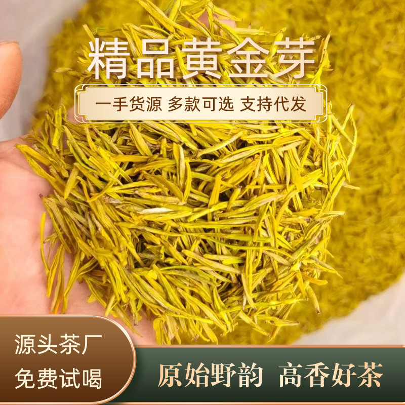 本物の黄金の芽、明前黄金の芽、雨前特級茶、卸売、主要産地、ドロップシッピング、自社生産、販売|undefined