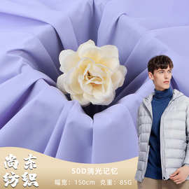 50D消光记忆 防水过胶全涤平纹面料 秋冬外套棉服羽绒服防水面料