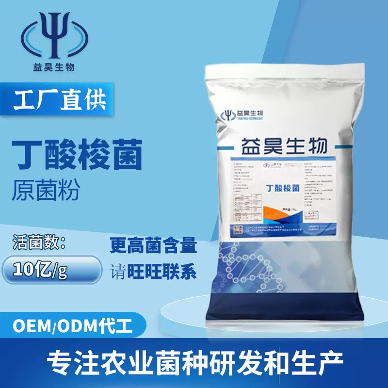 丁酸梭菌 水产养殖菌种 芽孢杆菌饲料添加剂 肠道代工贴牌OEM厂家