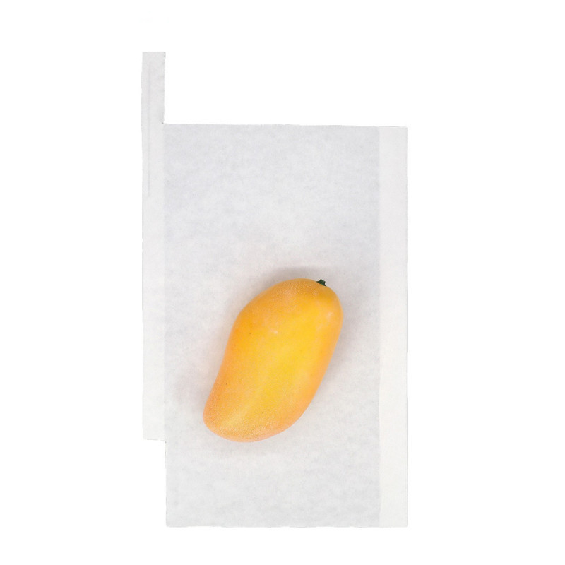 芒果袋 (4)