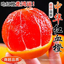 秭归血橙中华红橙新鲜橙子水果当季整箱红心肉甜橙手剥果冻橙10斤