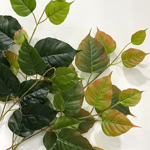 ������~�����~�Θ��~��ɫ�^�z���~��乤���쾰�b٘��~