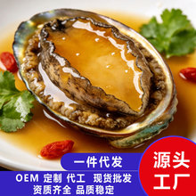 鲍鱼8头批发现货冻煮鲍鱼带壳去脏鲍冷冻水产新鲜火锅食材佛跳墙
