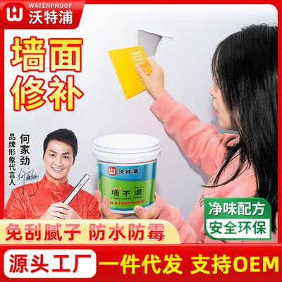 沃特浦补墙膏墙面修补白色防潮防霉免漆腻子膏内墙壁修复防水批发|ms