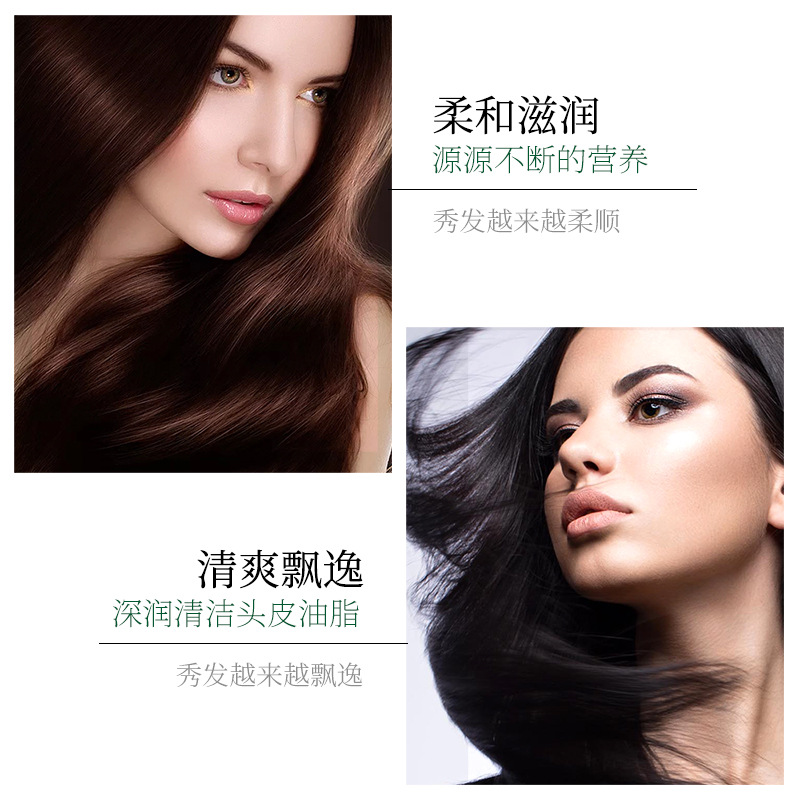 Champú Refrescante con Semilla de Té, Limpieza Profunda, Control de Grasa, para Cabello image 5