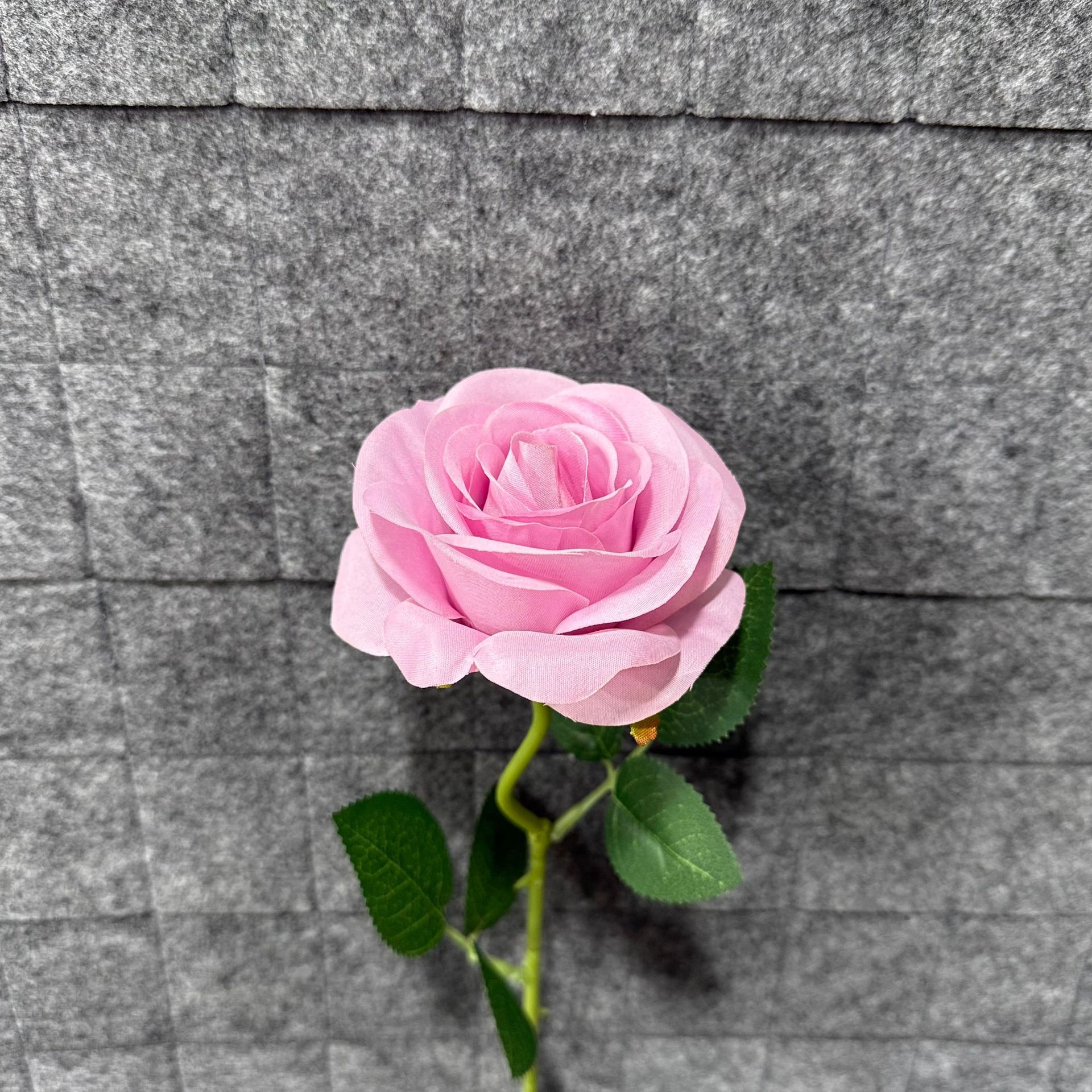 보라
