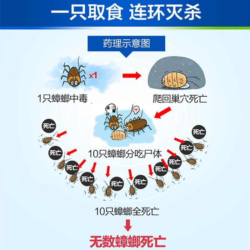 ドイツバイエルゴキブリ薬家庭用キッチン殺虫剤一全巣ゴキブリ駆除接着剤餌送料無料|undefined