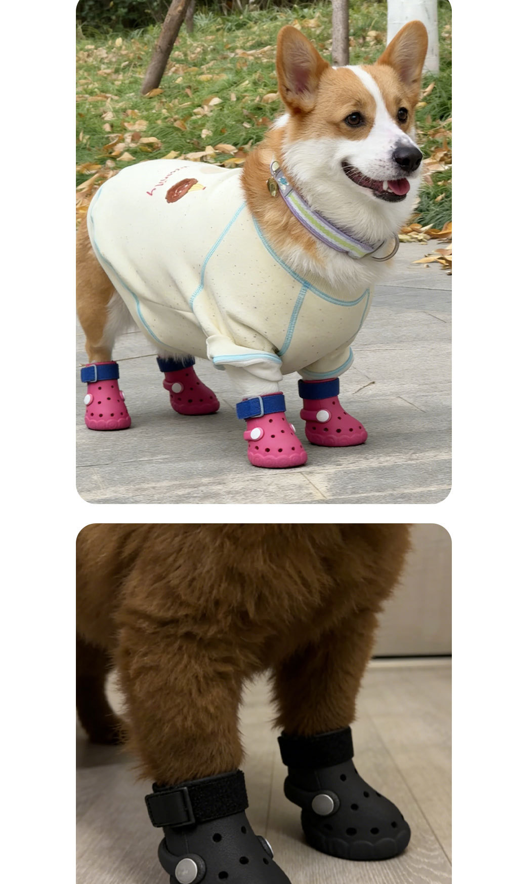 Scarpe per cani traspiranti antiscivolo e comode per zampe_voghion.com