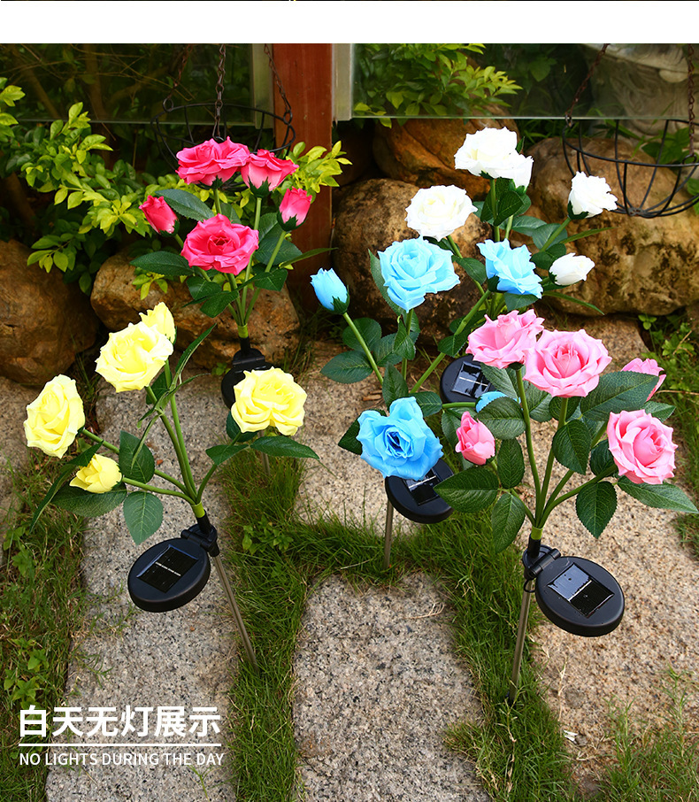 O1CN01x2lwuG1h9g2xJPueG_!!2212