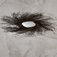 �x���٭h�}�Q���b��������ٻ��h��ȦDIY�ֹ�����ٗl���ƹ�ˇԭ