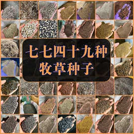 种子;其他园林资材;植保机械