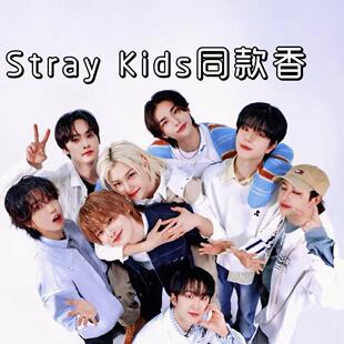 ��Stray Kids��·ͬ���㡿����ͬ��F�߼��Ќ������