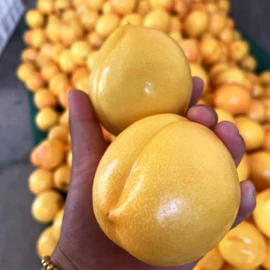 桃子;其他水果;番薯类