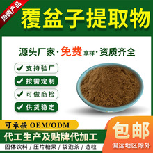 覆盆子提取物 10:1 水溶性覆盆子粉 药食同源原料 现货批发