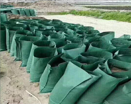 u=1011156522,38102904&fm=1