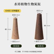 ����ˮ��ֲ��C������̿��I�B���o������Nֲ�����߲�������|�K