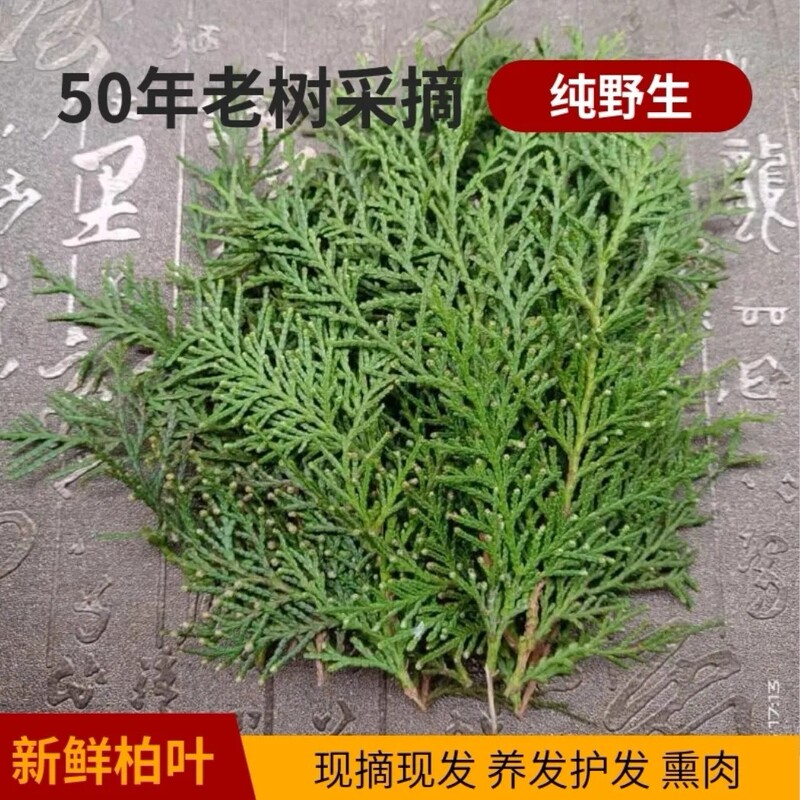 Purely Wild, Freshly Picked Platycladus Leaves, Platycladus Leaves, Cypress Branches and Leaves, Hair Washing, Hair Care, Wine Soaking, Smoked Bacon