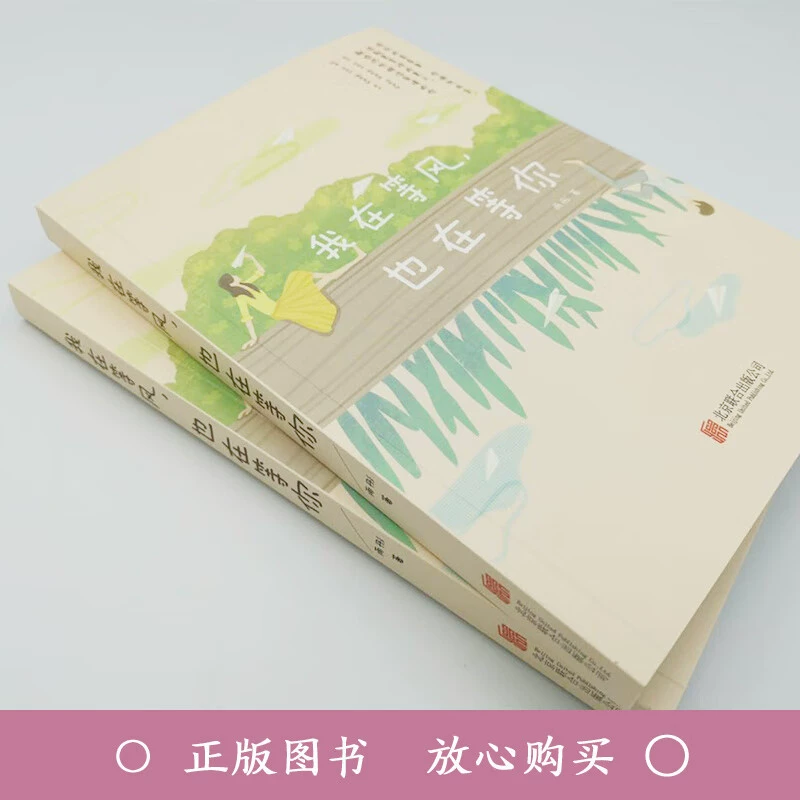 Жду ветра и тебя. Книга, очищающая душу и встречающая любовь. Любовь вечна. 21 эмоциональная история.