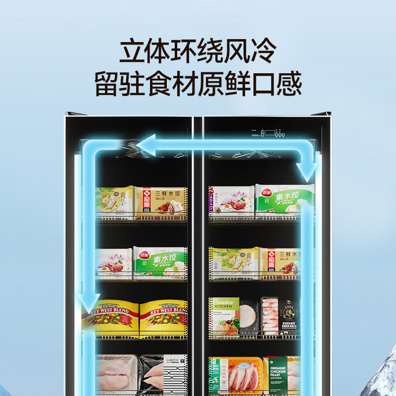 冷冻展示柜商用速冻急冻食品冻品立式冰箱超市低温其他