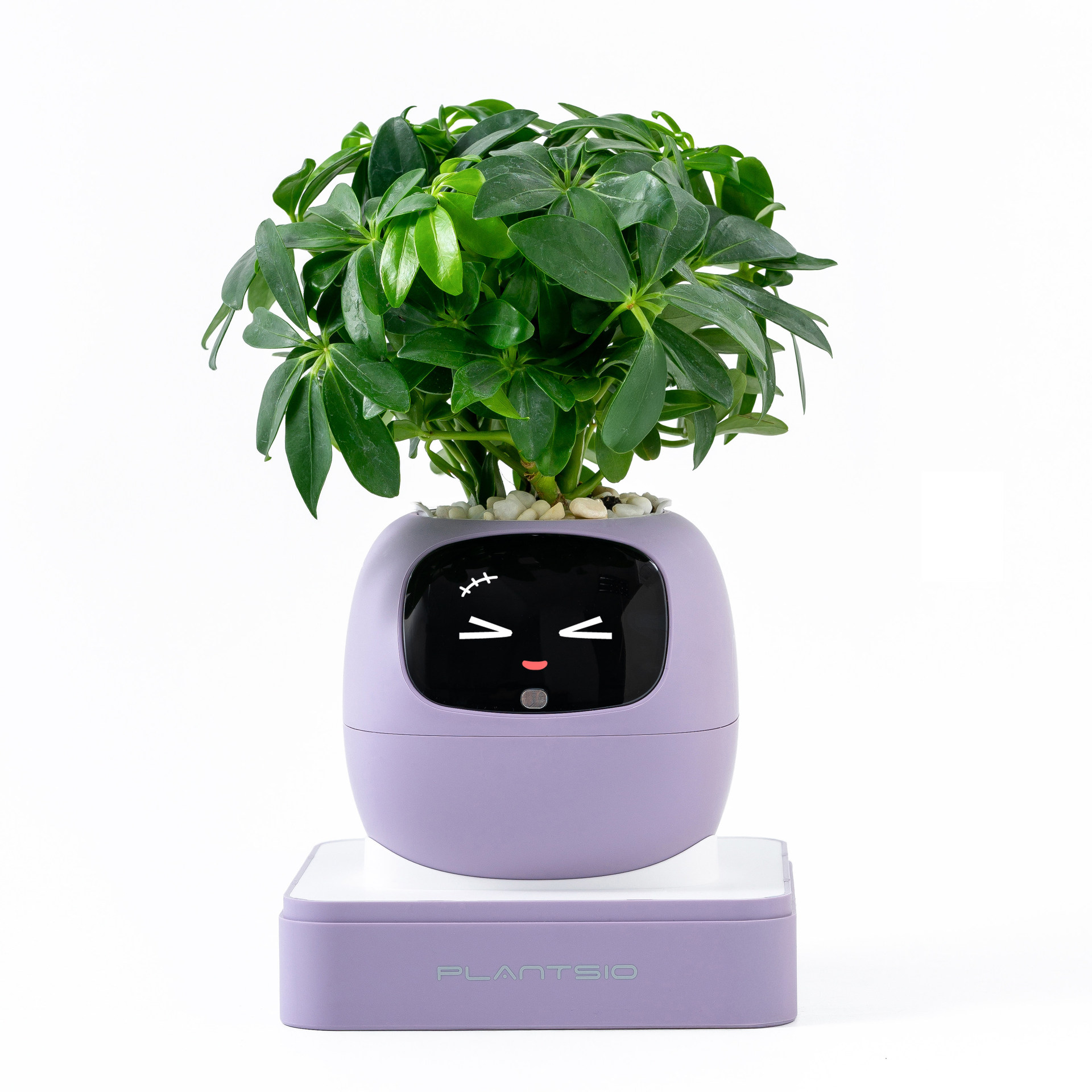 Intelligent automatic pet mood robot flower pot