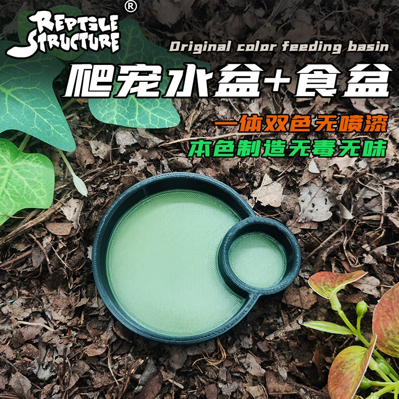 Рептилия Домашние животные-крабы-отшельники