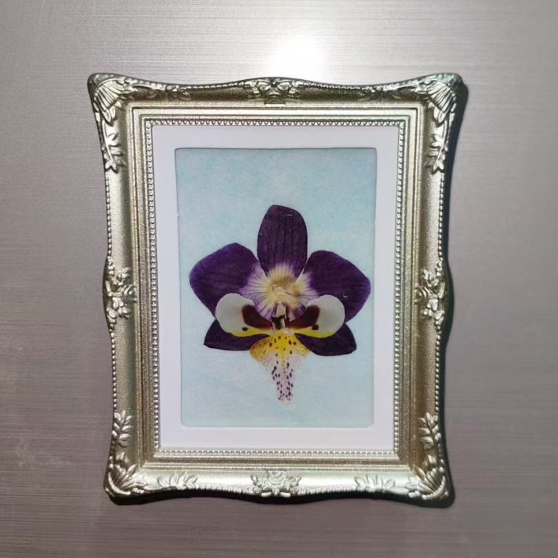 Photo Frame Refrigerator Magnet Hollow Butterfly Specimen Photo Frame Empty Frame Magnet Ornament Shell DIY Pressed Flower Specimen Refrigerator Magnet