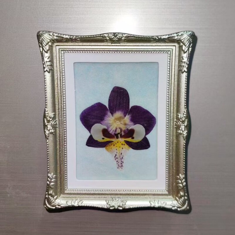 Hollow Specimen Frame Fridge Magnet Butterfly Shell DIY Pressed Flower Magnetic Ornament Creative Handmade Hollow Specimen Frame Fridge Magnet Butterfly Shell DIY Pressed Flower Magnetic Ornament Creative Handmade