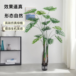 ���洺�����Է����Gֲ�߶�ϲ�����p���҃����쾰�����b͏d�[��